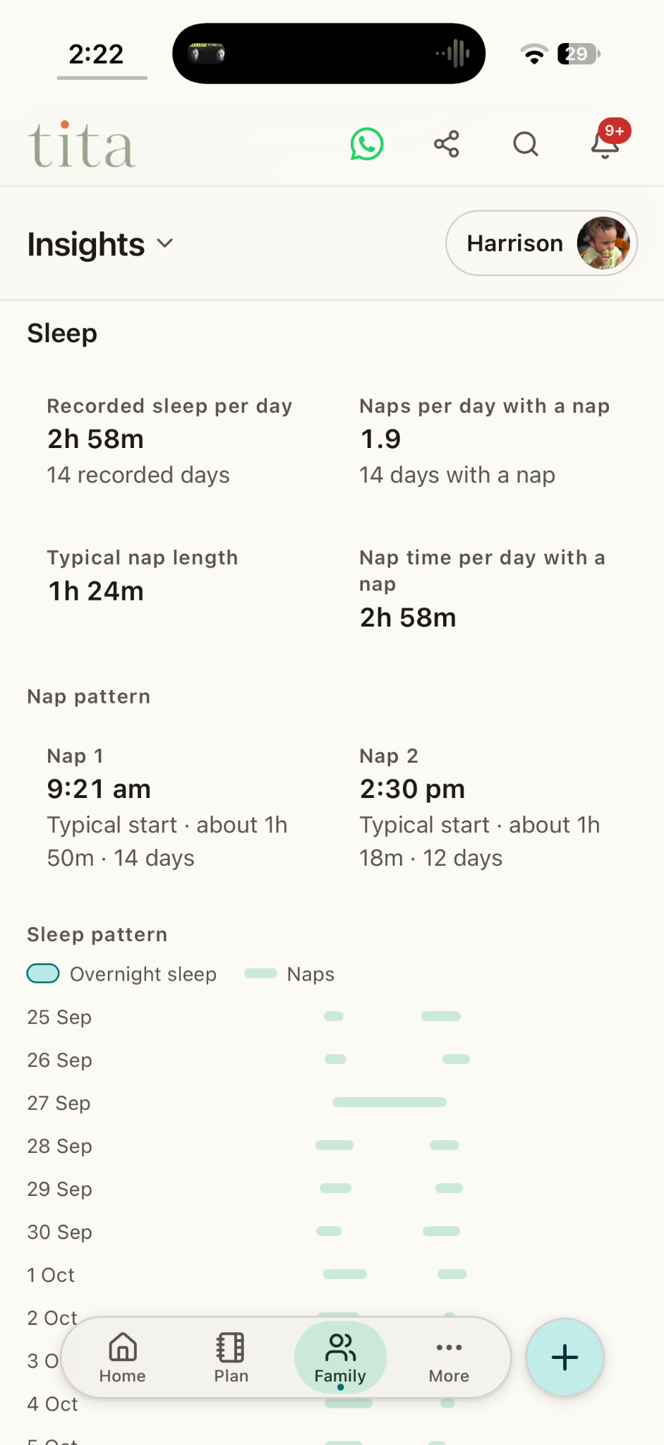 Tita Insights screen